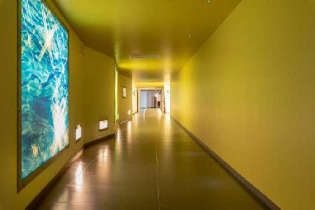 Las mejores ofertas de Baia Flaminia Resort Pesaro