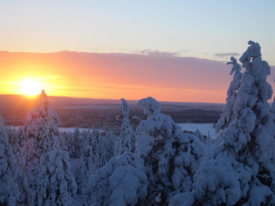 Las mejores ofertas de LAPLAND SKY OUNASVAARA (TWIN SAUNA/BATH) Rovaniemi 