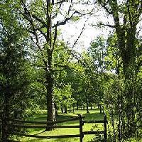 Las mejores ofertas de Apartamentos  Rurales Etxeberrí­a I y Ii IRAIZOTZ