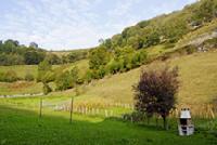 Las mejores ofertas de Casa Ozparrun Leitza