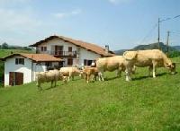 Las mejores ofertas de Casa Yikaurri Bera Vera de Bidasoa