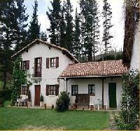 Las mejores ofertas de Perrenku  - Perrencu Marquina 