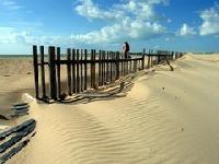 Las mejores ofertas de La Tacita Conil de la Frontera