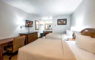 Las mejores ofertas de Red Roof Inn Tampa Busch Tampa 