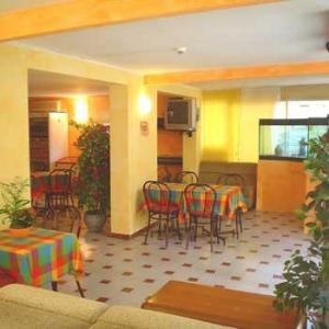 Las mejores ofertas de Grune Perle RIMINI