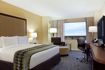 Las mejores ofertas de Hilton Orlando Bonnet Creek Orlando 