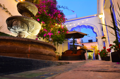 Las mejores ofertas de MOSS HOTEL & SPA Querétaro
