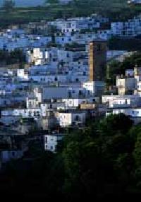 Las mejores ofertas de Los Prados Bayárcal 