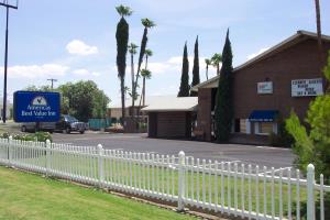 Las mejores ofertas de AMERICA\ Tucson 