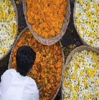 Las mejores ofertas de The Lalit Bombay 