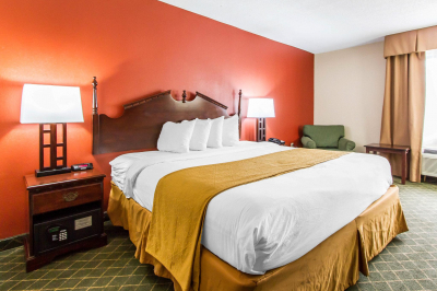 Las mejores ofertas de Quality Mobile 