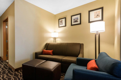 Las mejores ofertas de Comfort Suites Near Raymond James Stadium Tampa 