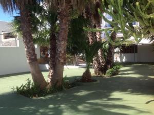 Las mejores ofertas de Tarba SAN ANTONIO