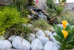 Las mejores ofertas de Nuevo Norat Sanxenxo Portonovo