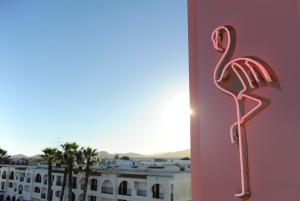 Las mejores ofertas de TROPICANA IBIZA SUITES - ADULTS ONLY Ibiza