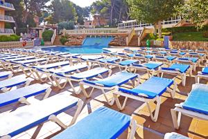 Las mejores ofertas de Sahara Nubia Gobi Anexo Palma Bay Playa de Palma