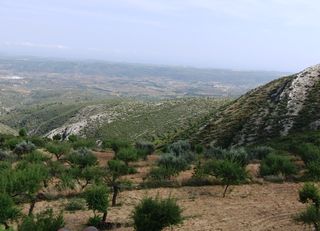 Las mejores ofertas de ELS MASETS Sarratella