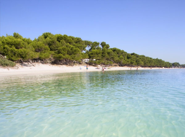 Las mejores ofertas de IVORY PLAYA HOTEL Port d`Alcudia