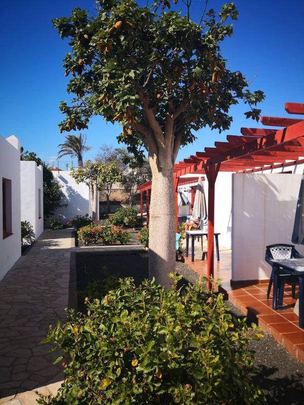 Las mejores ofertas de Castillo Beach Club Apartments Caleta de Fuste