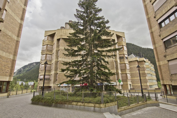 Las mejores ofertas de Irissa Baqueira -Beret