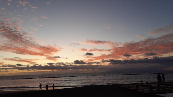 Las mejores ofertas de Paradise Court Aparthotel Adeje 