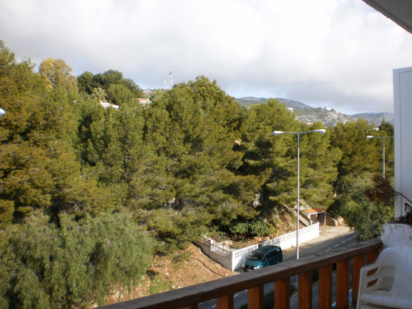 Las mejores ofertas de Hibiscus 3000 Alcocéber