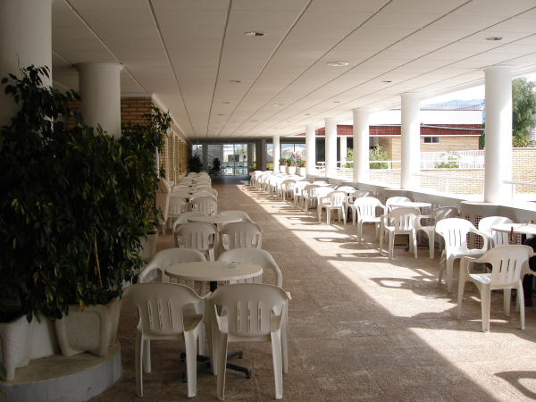 Las mejores ofertas de Caballo De Oro Benidorm