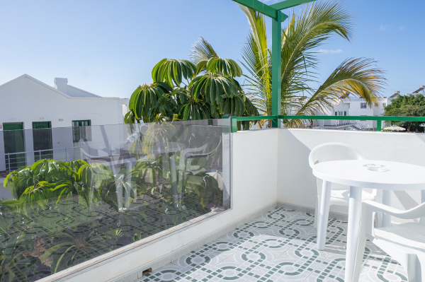 Las mejores ofertas de Aloe Puerto del Carmen