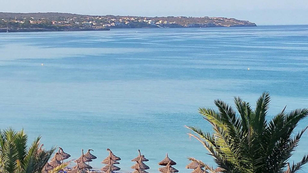 Las mejores ofertas de Myseahouse Flamingo Playa de Palma