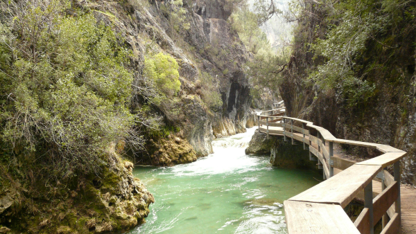 Las mejores ofertas de Montaña de Cazorla Cazorla