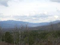 Las mejores ofertas de El Pinar Cinco Villas