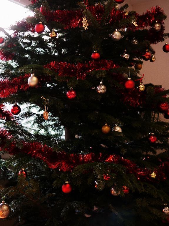 ibis Mulhouse Ville Gare Centrale