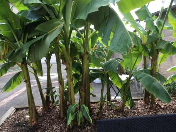 Las mejores ofertas de Auberge Du Val De Loir Tours