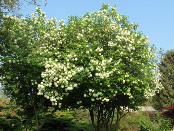 Las mejores ofertas de Acostel Paris 