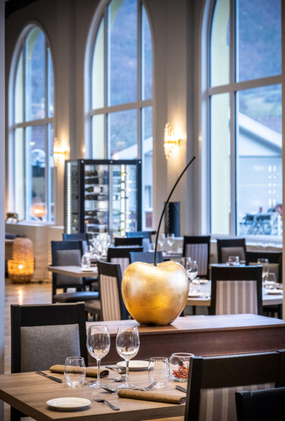 Las mejores ofertas de Radiana Hotel Tarentaise 