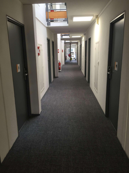 Las mejores ofertas de Stars Rennes - Chantepie Rennes