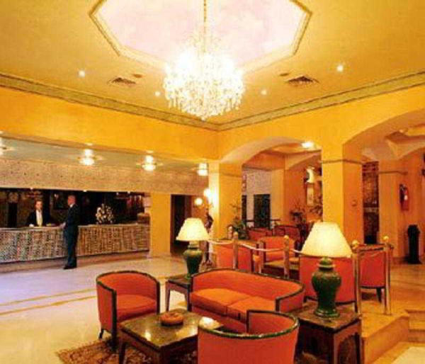 Las mejores ofertas de Sofia Fez 