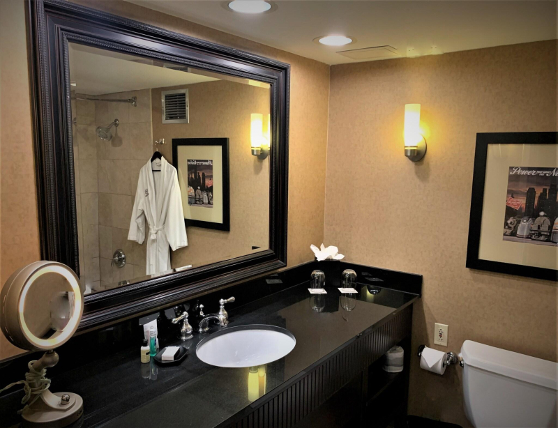 Sheraton Hotel Lisle