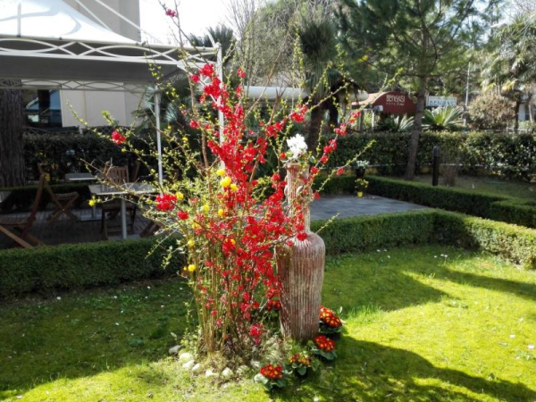 Las mejores ofertas de ALIBI RIMINI