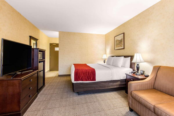 Las mejores ofertas de Comfort Inn Escondido San Diego North County Escondido 