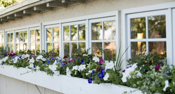 Las mejores ofertas de Las Palomas Santa Fe 