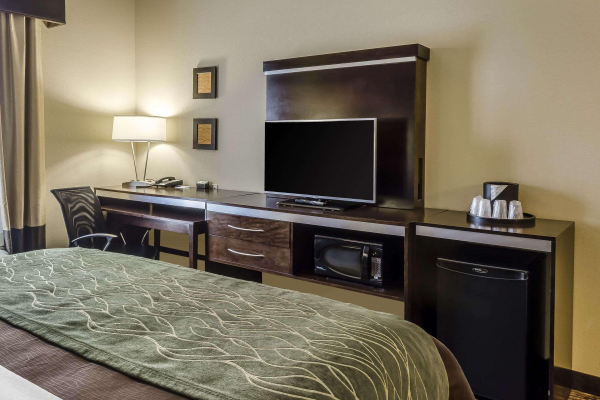 Las mejores ofertas de Comfort Inn & Suites Dothan East Dothan 