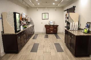 HOLIDAY INN EXPRESS & SUITES ATHENS