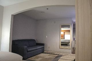 HOLIDAY INN EXPRESS & SUITES ATHENS