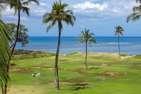 Las mejores ofertas de Kihei Akahi Kihei 