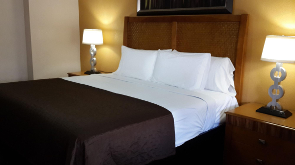 Las mejores ofertas de American Regency Inn Williams 