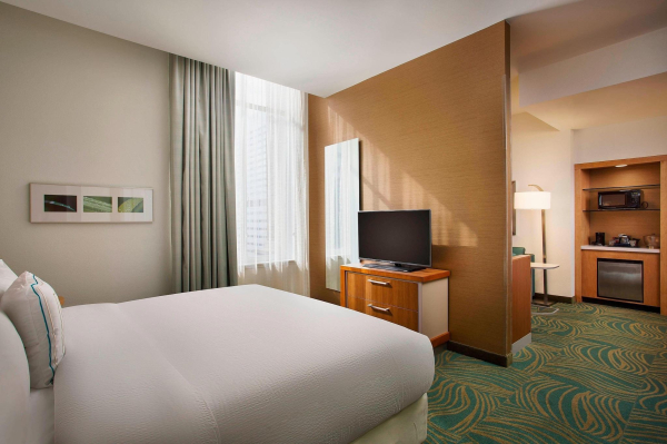 Las mejores ofertas de SpringHill Suites Houston Downtown/Convention Cntr Houston