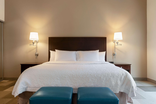 Las mejores ofertas de Hampton Inn & Suites Atlanta Airport West/Camp Cre East Point 