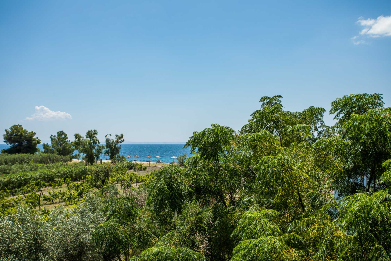 Coral Blue Beach Hotel Gerakini