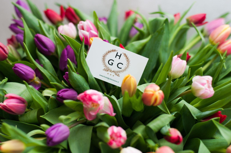 Las mejores ofertas de Hotel Giulio Cesare Turín